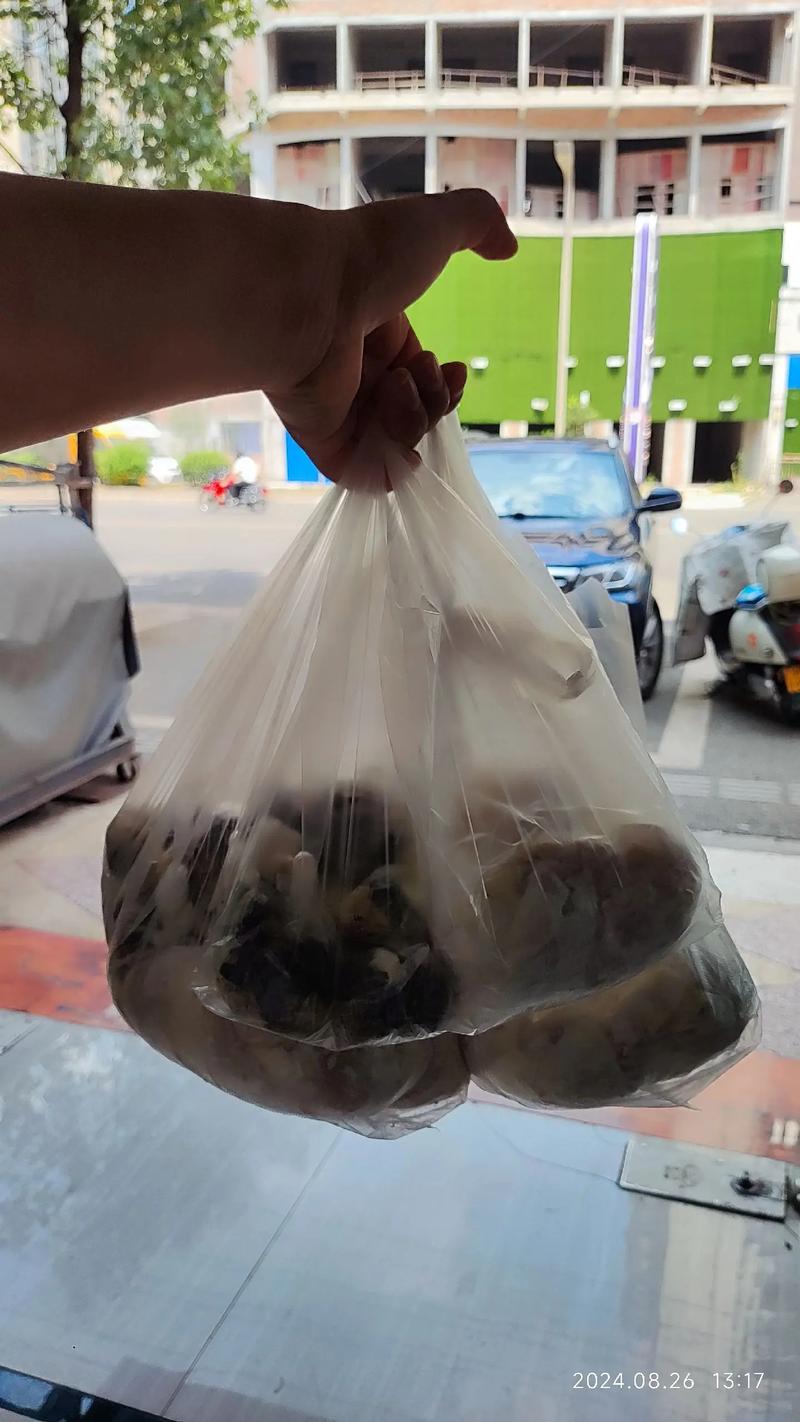 寻找地道美味：小城手工水饺的手艺传承